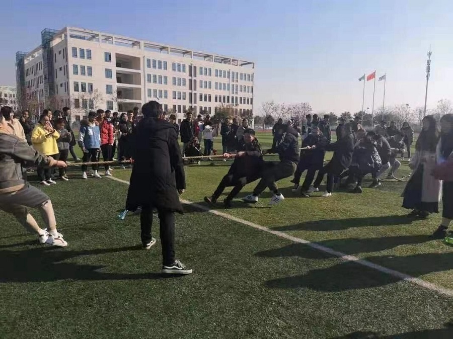 拔河.jpg