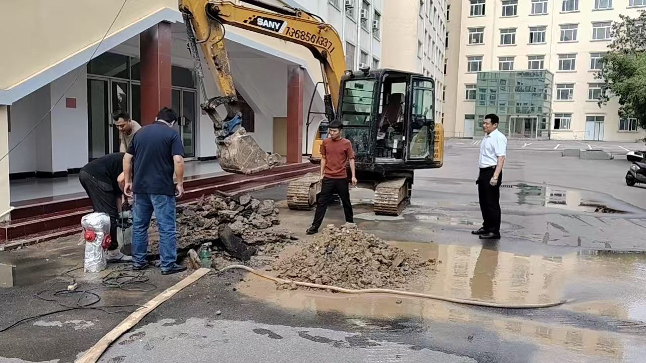b0cc636ca6248fd225340b5c5b77aed5.jpg